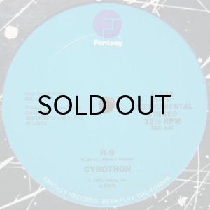 画像2: CYBOTRON / R-9 (2)
