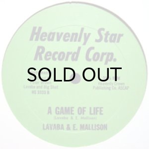 画像2: LAVABA & E. MALLISON / A GAME OF LIFE (2)