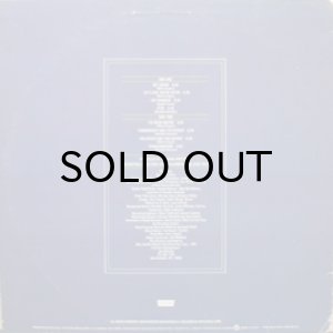 画像2: SPYDER TURNER / MUSIC WEB (2)