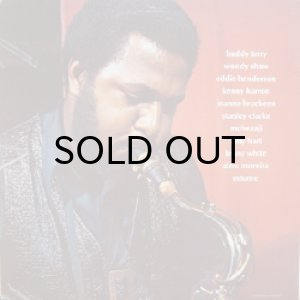 画像2: BUDDY TERRY / PURE DYNAMITE (2)