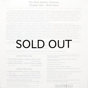 画像2: BASSADELIC / ONE NATION UNDER A BOOM (2)