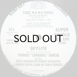 画像2: SKYLITE / DANCE AND BE HEALTHY (2)