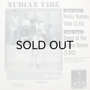 画像2: NUBIAN VIBE / FUNKY NUBIAN VIBE (2)