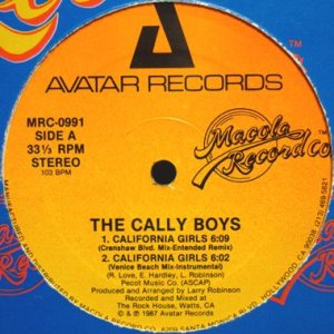 画像1: THE CALLY BOYS / CALIFORNIA GIRLS (1)