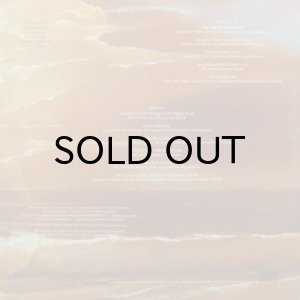 画像2: PAT REBILLOT / FREE FALL (2)