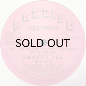 画像2: S.M.O.K.E.Y. D.E.E. & DXJ / ALL YOU NEED IS THE BASS THESE DAYS (2)