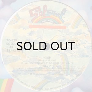 画像2: SKYY / SKYYZOO b/w HIGH (2)