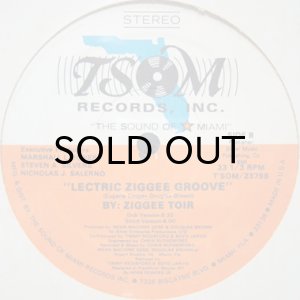 画像3: ZIGGEE TOIR / LECTRIC ZIGGEE GROOVE (3)