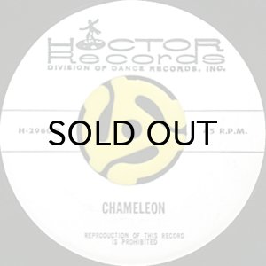 画像2: HOCTOR BAND / LOVE ROLLERCOASTER / CHAMELEON (45's) (2)