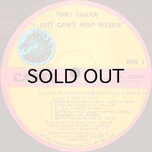 画像3: TERRY CALLIER / I JUST CAN'T HELP MY SELF (3)