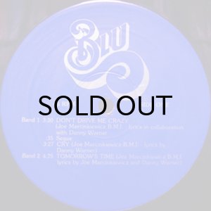 画像3: JOE MARCINKIEWICZ & BLU / DIRECT TO DISC (3)