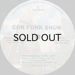 画像3: CON FUNK SHUN / SURE FEELS GOOD TO ME / FOLEY PARK (3)