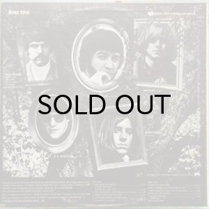 画像2: FEVER TREE / SAME (2)