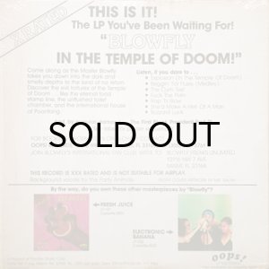 画像2: BLOWFLY / IN THE TEMPLE OF DOOM (2)