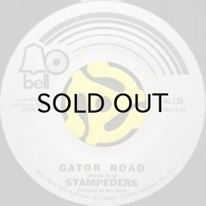 画像1: STAMPEDERS / GATOR ROAD (45's) (1)