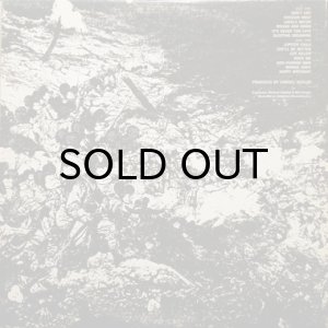 画像2: STEPPENWOLF / AT YOUR BIRTHDAY PARTY (2)