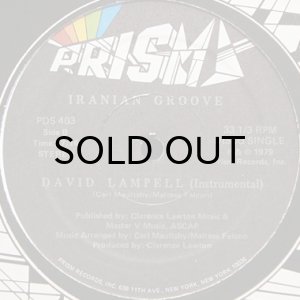 画像2: DAVID LAMPELL / I RAN IRAN (2)