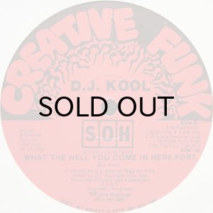 画像2: DJ KOOL / WHAT THE HELL YOU COME IN HERE FOR (2)