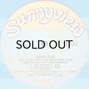 画像2: NEWCLEUS / DESTINATION EARTH (1999) (2)