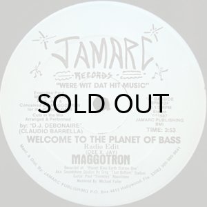 画像3: MAGGOTRON / WELCOME TO THE PLANET OF BASS (3)