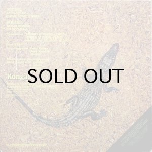 画像2: KONGAS / AFRICANISM (2)