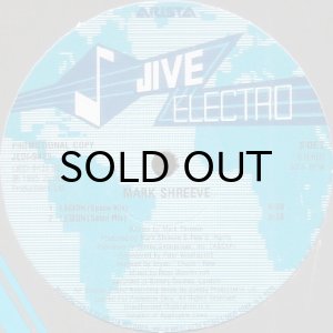 画像2: MARK SHREEVE / LEGION (2)