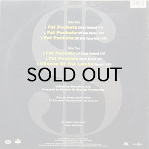 画像2: SHOWBIZ & A.G. / FAT POCKETS (2)