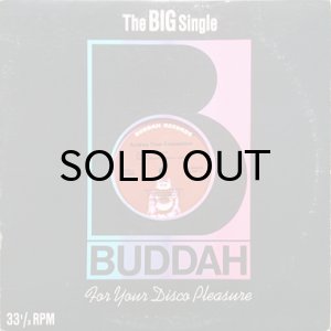 画像3: ANDREA TRUE CONNECTION / N.Y. YOU GOT ME DANCING (12) (3)