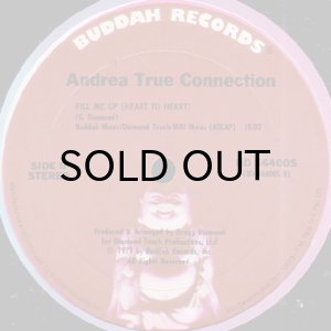 画像2: ANDREA TRUE CONNECTION / N.Y. YOU GOT ME DANCING (12) (2)