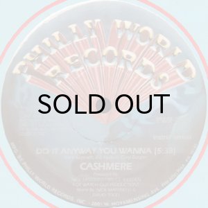 画像2: CASHMERE / DO IT ANYWAY YOU WANNA (2)