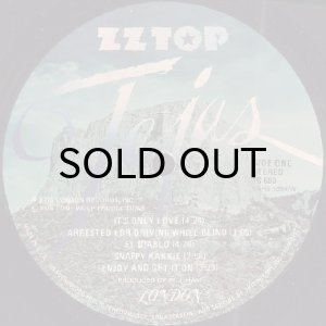 画像3: ZZ TOP / TEJAS (3)