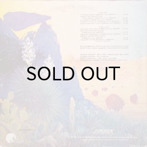 画像2: ZZ TOP / TEJAS (2)