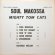 画像2: MIGHTY TOM CATS / SOUL MAKOSSA (LP) (2)