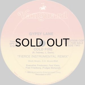 画像2: GYPSY LANE / COLD FIRE (2)