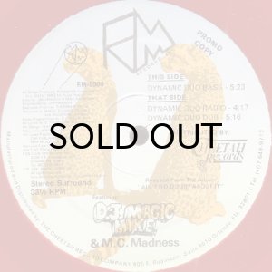 画像3: DJ MAGIC MIKE & MC MADNESS / DYNAMIC DUO (3)