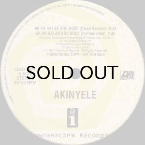 画像2: AKINYELE / AK HA HA! AK HOO HOO? (2)