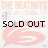 THE BEATNUTS / FIND THAT (PROMO) - Breakwell Records