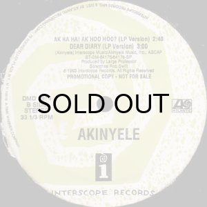 画像3: AKINYELE / AK HA HA! AK HOO HOO? (3)