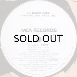 画像2: BIG DADDY KANE / IN THE PJ'S b/w SHOW & PROVE (PROMO) (2)
