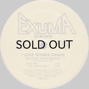 画像2: DYNAMIX / I JUST WANNA DANCE (2)