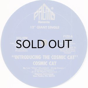 画像1: COSMIC CAT / INTRODUCING THE COSMIC CAT (1)