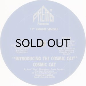 画像2: COSMIC CAT / INTRODUCING THE COSMIC CAT (2)