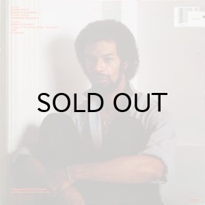 画像2: GIL SCOTT-HERON / REFLECTIONS (2)