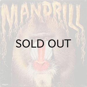 画像1: MANDRILL / SAME (1)