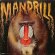 画像1: MANDRILL / SAME (1)