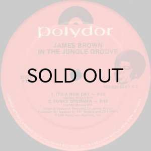 画像3: JAMES BROWN / IN THE JUNGLE GROOVE (3)