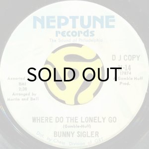 画像2: BUNNY SIGLER / GREAT BIG LIAR (45's) (2)