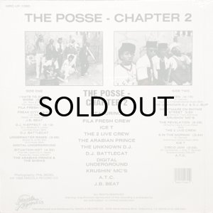 画像2: V.A. / THE POSSE CHAPTER 2 (2)