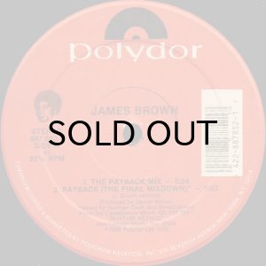 画像3: JAMES BROWN / THE PAYBACK MIX (12) (3)
