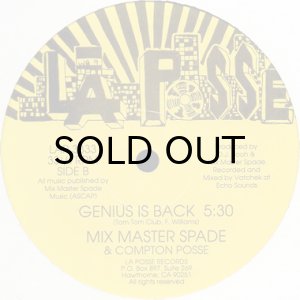 画像2: MIX MASTER SPADE / SEXY LADY b/w GENIUS IS BACK (2)